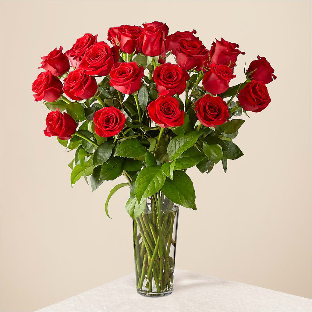 Long Stem Red Rose Bouquet – PAULINE'S BLOOMERS, Brunswick ME