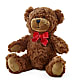Adorable Plush Bear – PAULINE'S BLOOMERS, Brunswick ME