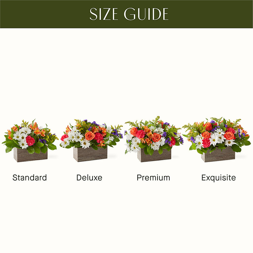Oopsie Daisy Box Bouquet – PAULINE'S BLOOMERS, Brunswick ME