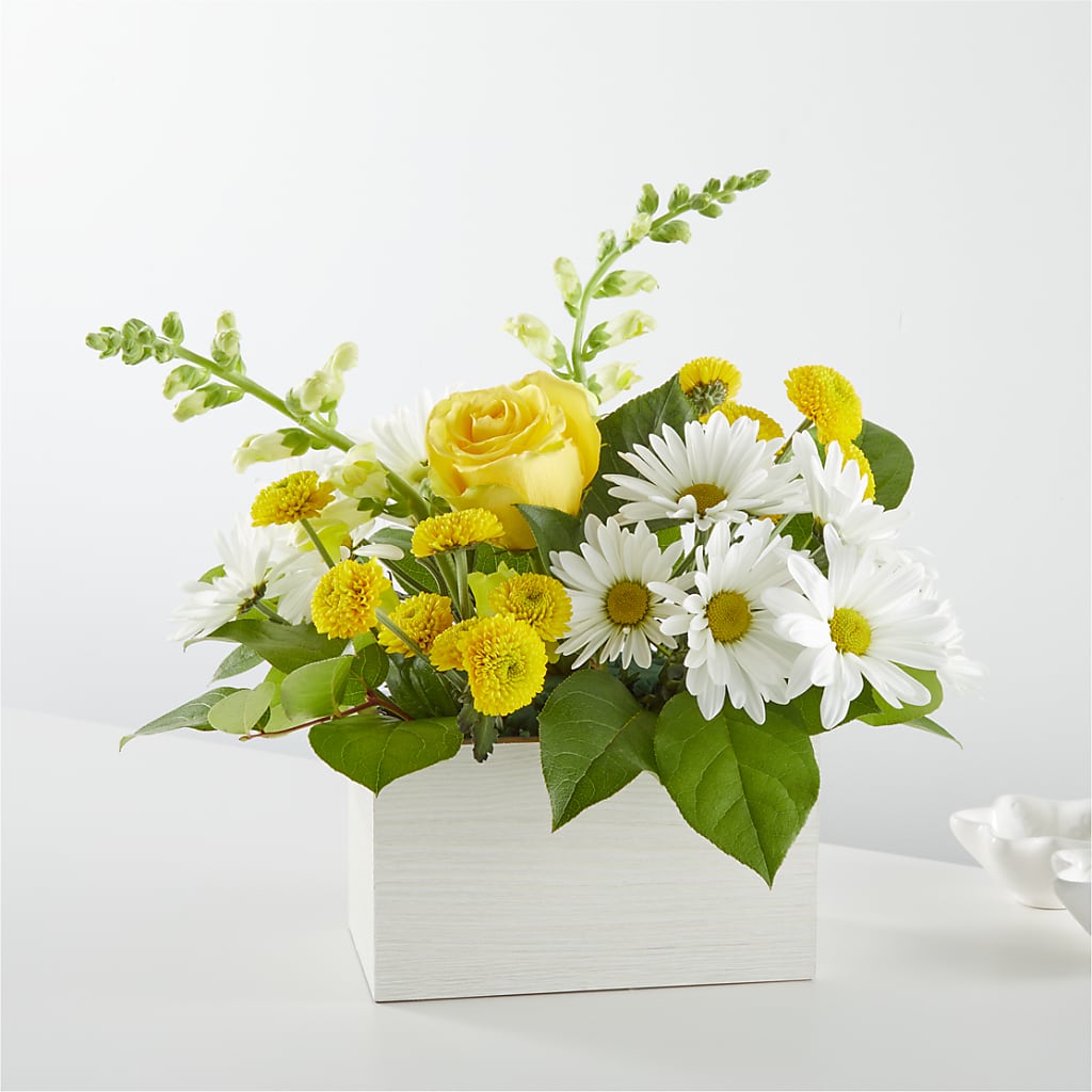 Sun Salutation Box Bouquet – PAULINE'S BLOOMERS, Brunswick ME