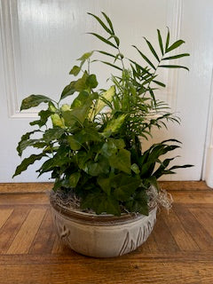Dish Garden