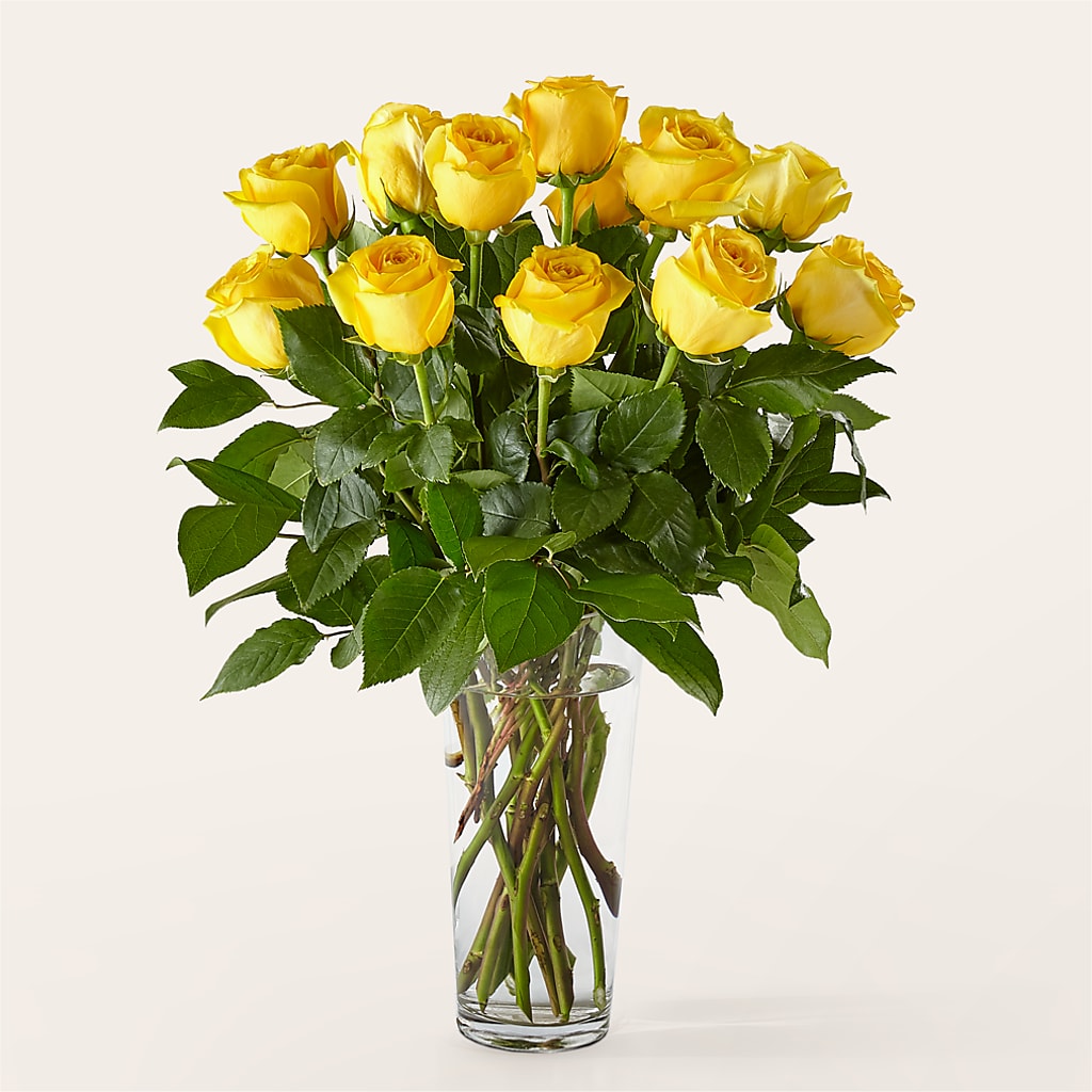 Long Stem Yellow Rose Bouquet – PAULINE'S BLOOMERS, Brunswick ME
