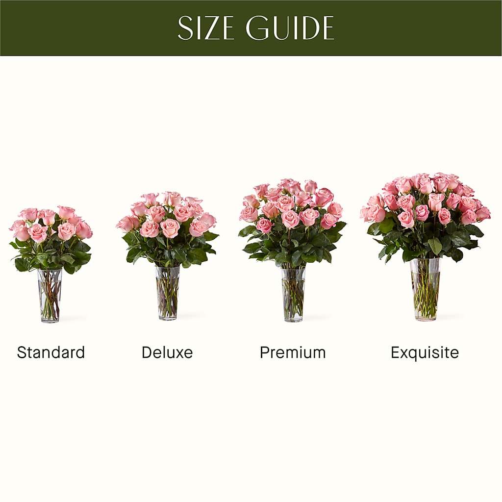 Long Stem Pink Rose Bouquet – PAULINE'S BLOOMERS, Brunswick ME