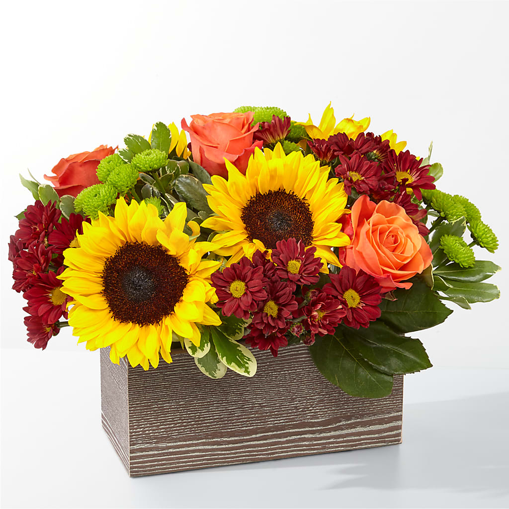 Happy Harvest Garden – PAULINE'S BLOOMERS, Brunswick ME