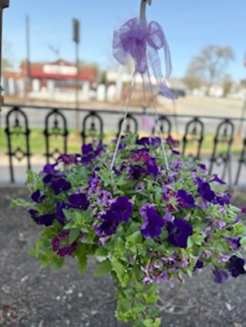 Hanging Plant Basket Designer's Choice