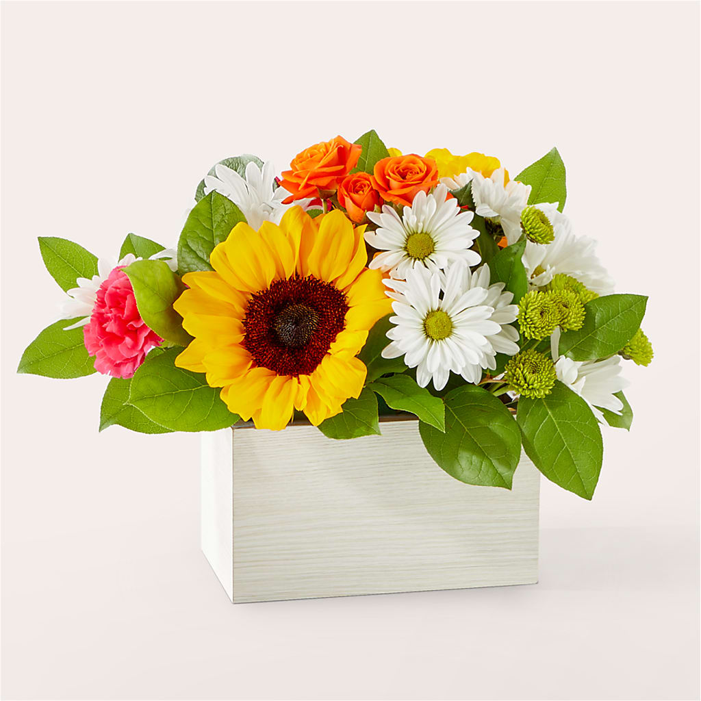 Sun-drenched Blooms Box Bouquet – PAULINE'S BLOOMERS, Brunswick ME