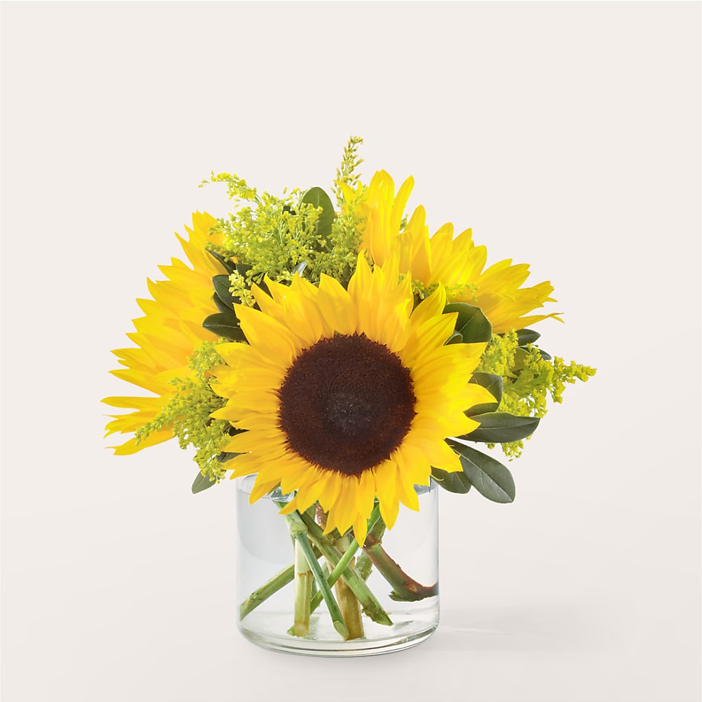 Beaming Sunflower Bouquet – PAULINE'S BLOOMERS, Brunswick ME