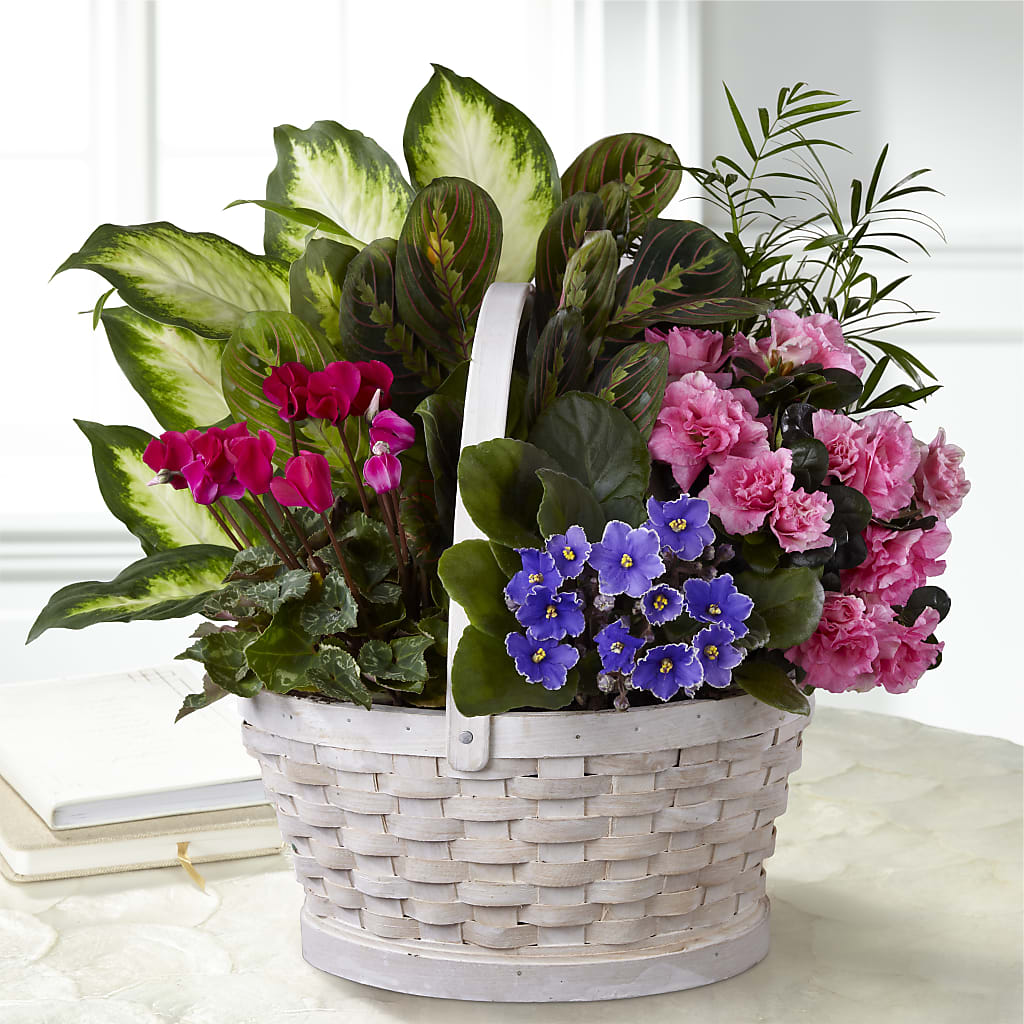 Peaceful Garden Planter – PAULINE'S BLOOMERS, Brunswick ME