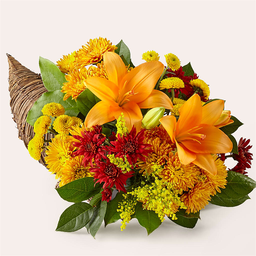 Feast of Color Cornucopia – PAULINE'S BLOOMERS, Brunswick ME