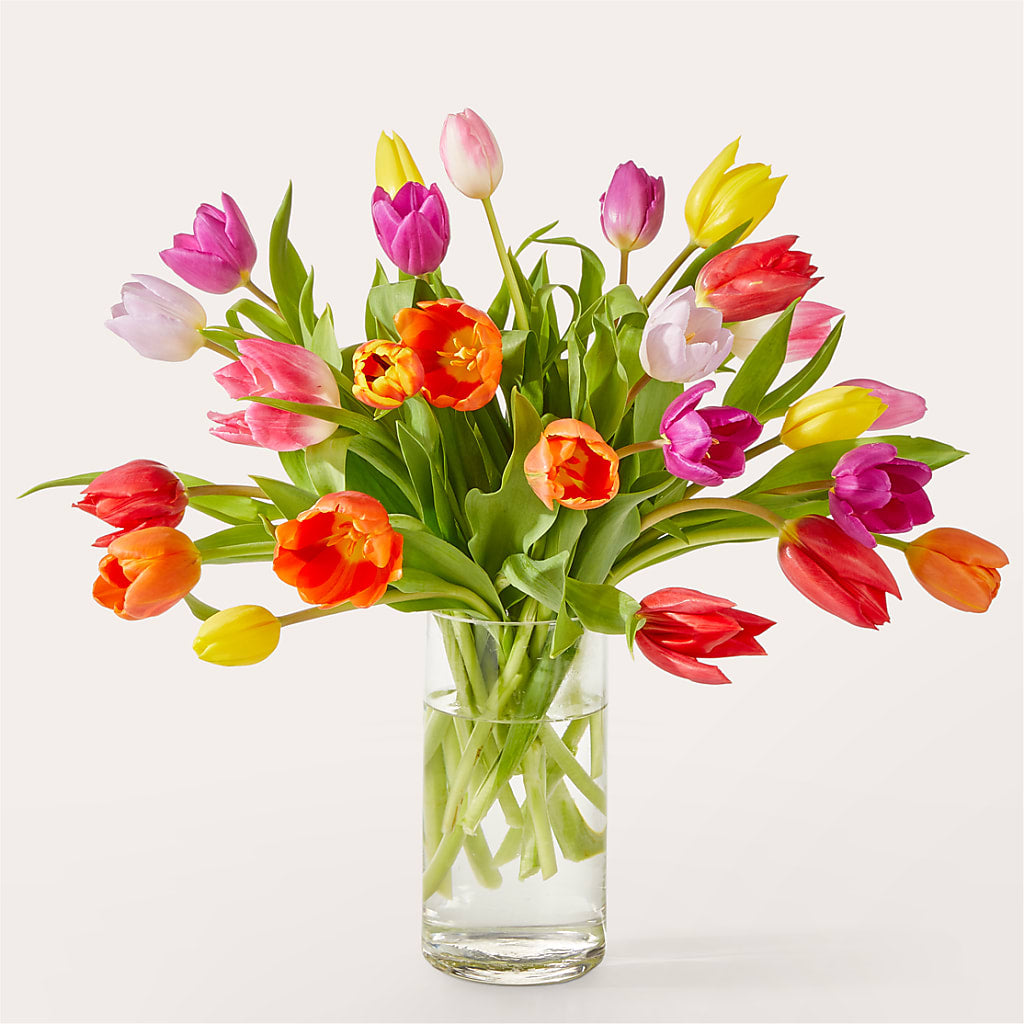 Let's Talk Tulips Bouquet – PAULINE'S BLOOMERS, Brunswick ME