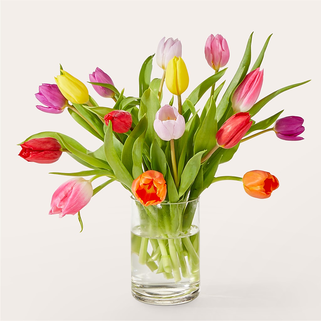 Let's Talk Tulips Bouquet – PAULINE'S BLOOMERS, Brunswick ME