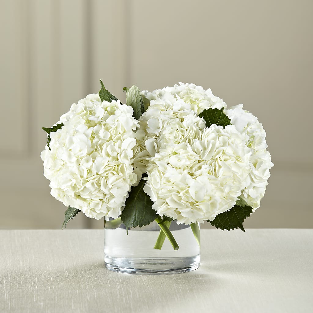 White Hydrangea Bouquet – PAULINE'S BLOOMERS, Brunswick ME