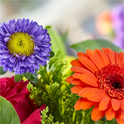 Bold & Bright – A Florist Original – PAULINE'S BLOOMERS, Brunswick ME