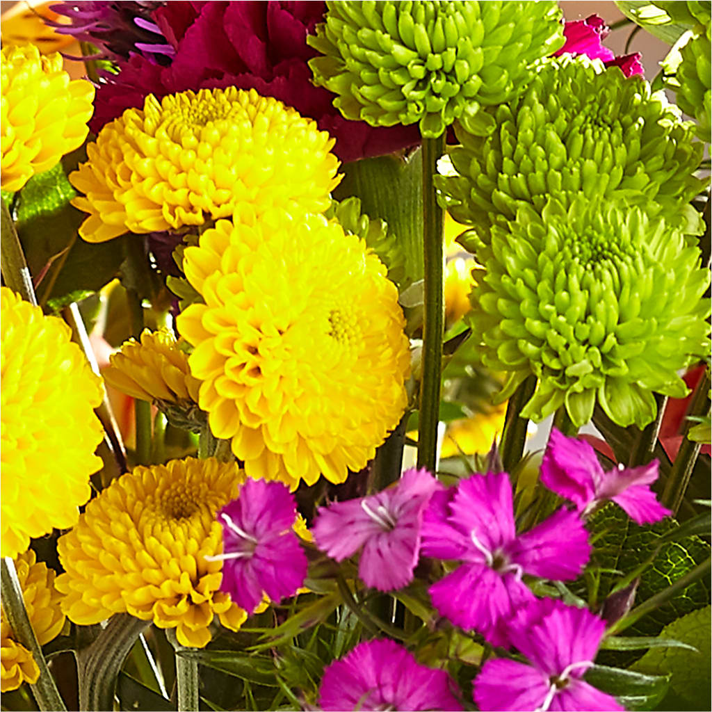 Bold & Bright – A Florist Original – PAULINE'S BLOOMERS, Brunswick ME