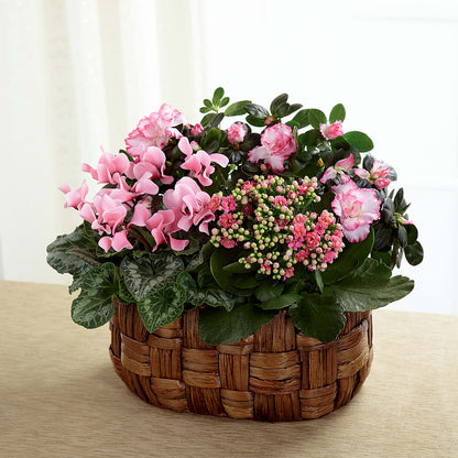 Pink Assortment – PAULINE'S BLOOMERS, Brunswick ME