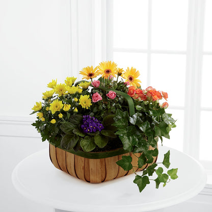 Gentle Blossoms Basket – PAULINE'S BLOOMERS, Brunswick ME