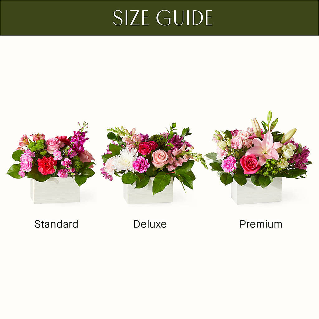 Sweetberry Box – A Florist Original – PAULINE'S BLOOMERS, Brunswick ME