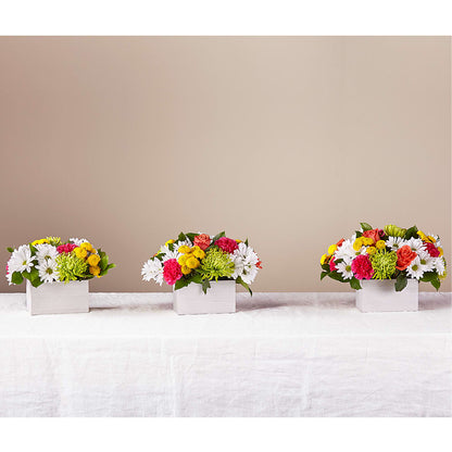 Sorbet Bouquet – PAULINE'S BLOOMERS, Brunswick ME
