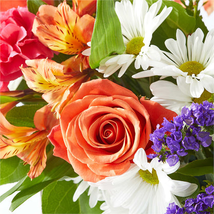 Oopsie Daisy Box Bouquet – PAULINE'S BLOOMERS, Brunswick ME