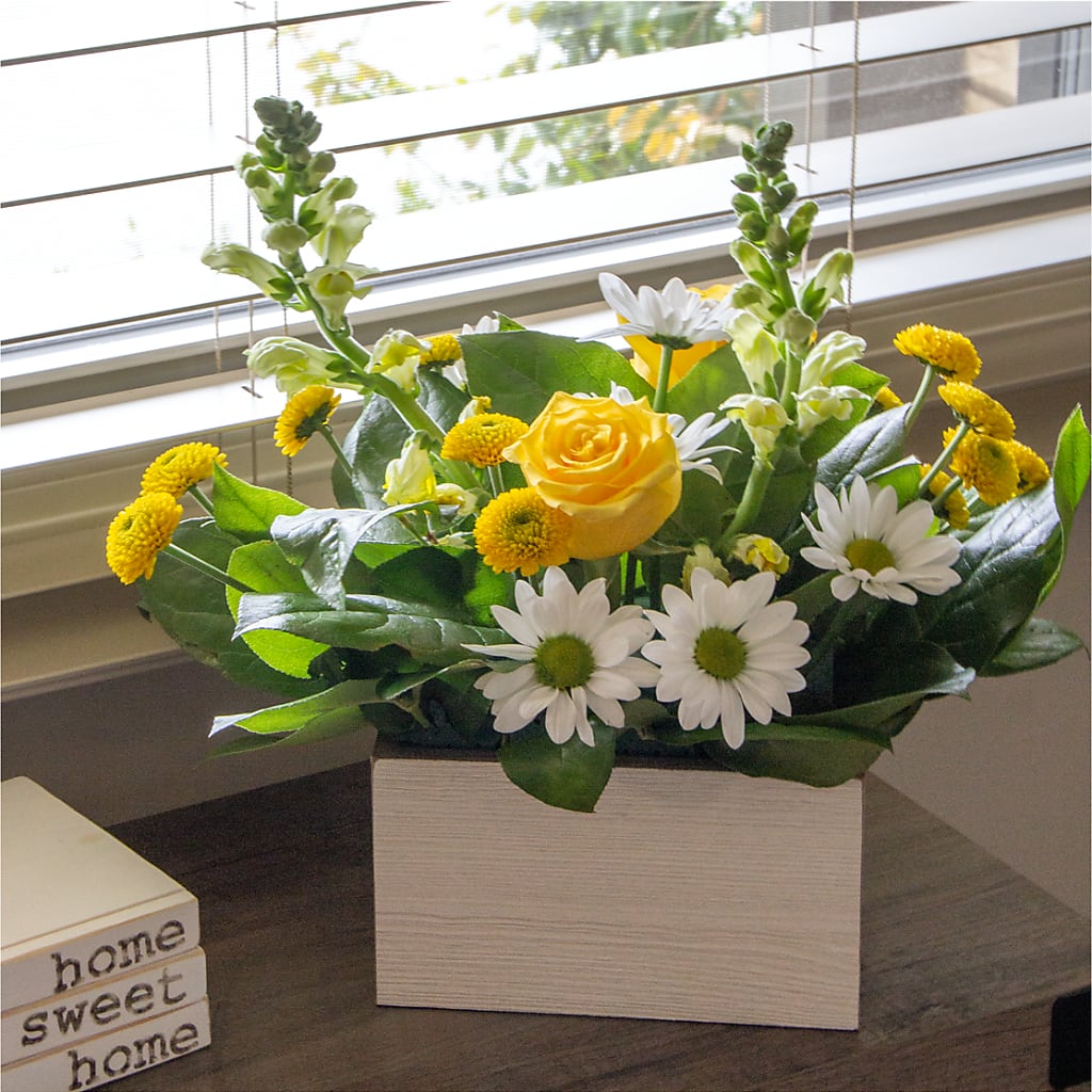 Sun Salutation Box Bouquet – PAULINE'S BLOOMERS, Brunswick ME