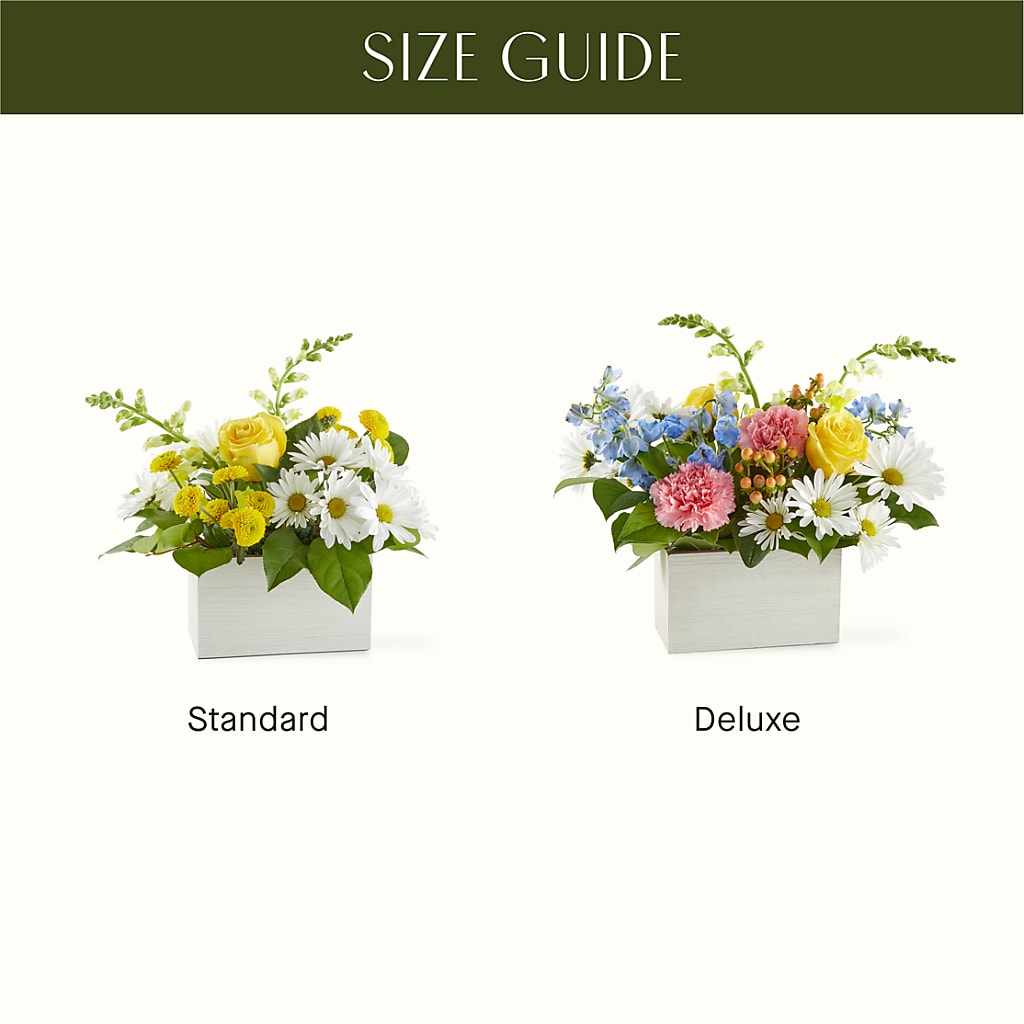 Sun Salutation Box Bouquet – PAULINE'S BLOOMERS, Brunswick ME