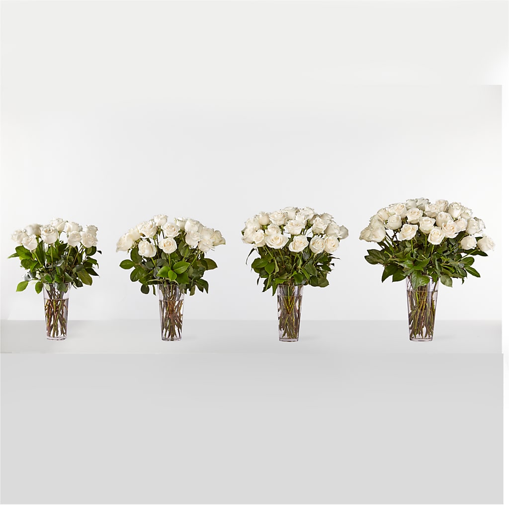 Long Stem White Rose Bouquet – PAULINE'S BLOOMERS, Brunswick ME