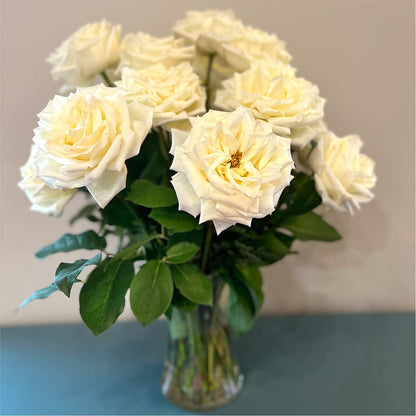 Long Stem Yellow Rose Bouquet – PAULINE'S BLOOMERS, Brunswick ME