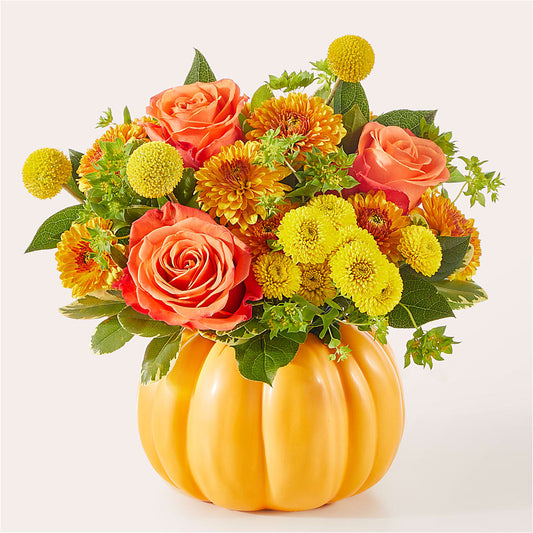 Gourdgeous Pumpkin – PAULINE'S BLOOMERS, Brunswick ME