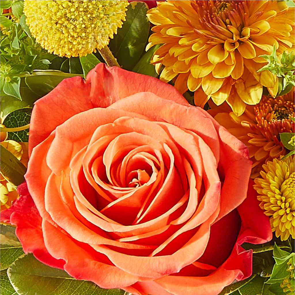 Gourdgeous Pumpkin – PAULINE'S BLOOMERS, Brunswick ME