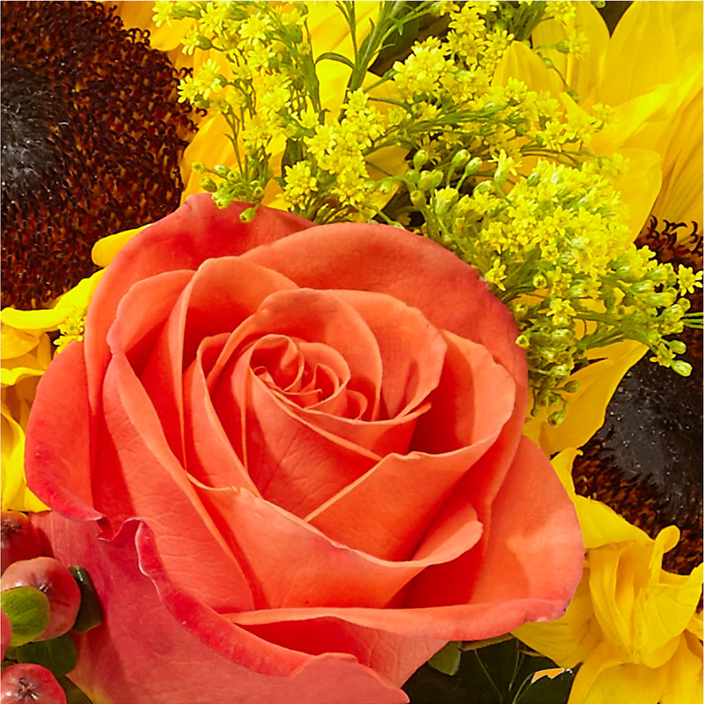 Pick of the Patch Pumpkin Bouquet – PAULINE'S BLOOMERS, Brunswick ME