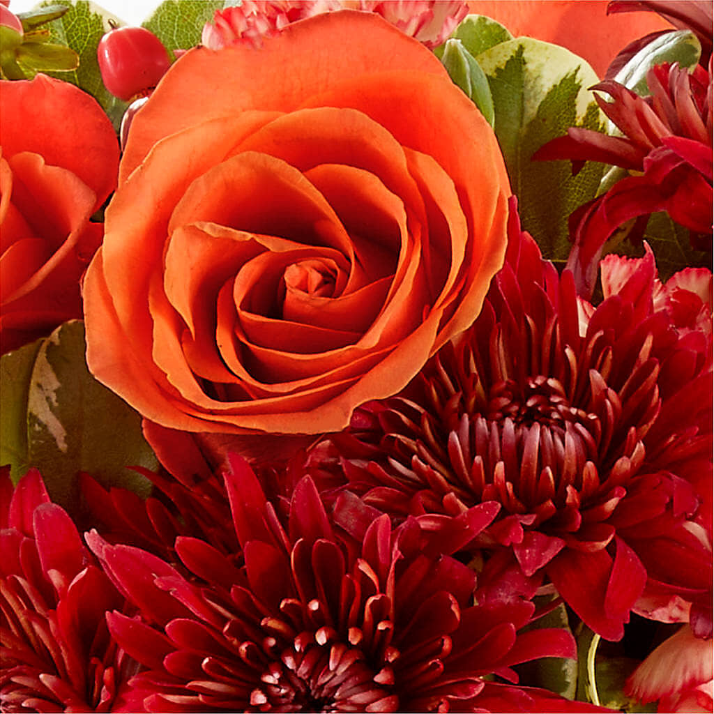 Autumn Air Pumpkin Bouquet – PAULINE'S BLOOMERS, Brunswick ME