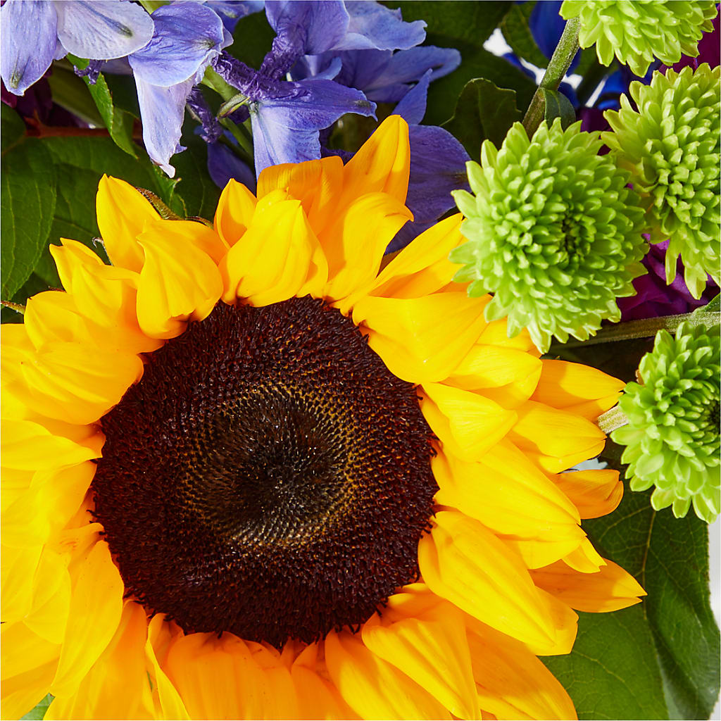 Catching Rays Bouquet – PAULINE'S BLOOMERS, Brunswick ME