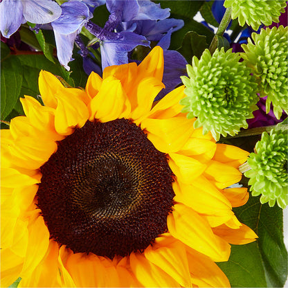 Catching Rays Bouquet – PAULINE'S BLOOMERS, Brunswick ME