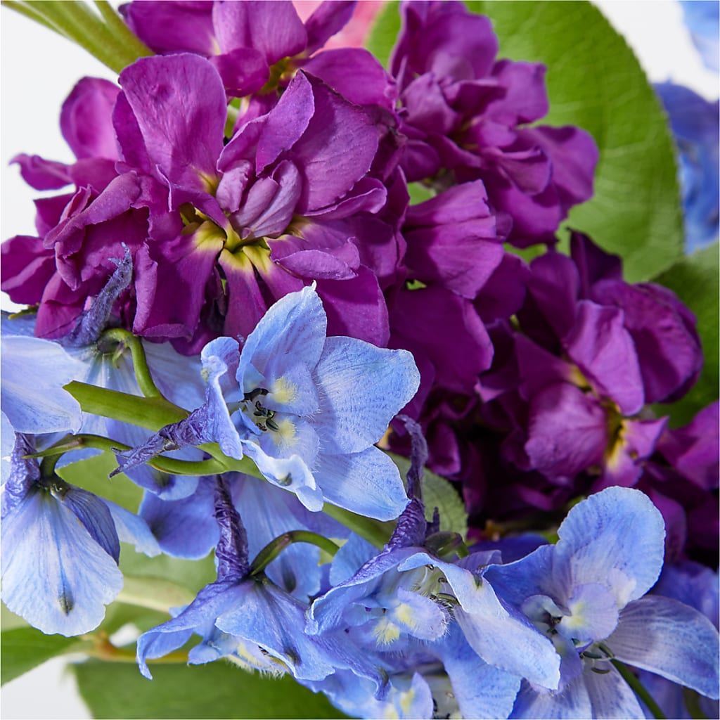 Twilight Glow Bouquet – PAULINE'S BLOOMERS, Brunswick ME