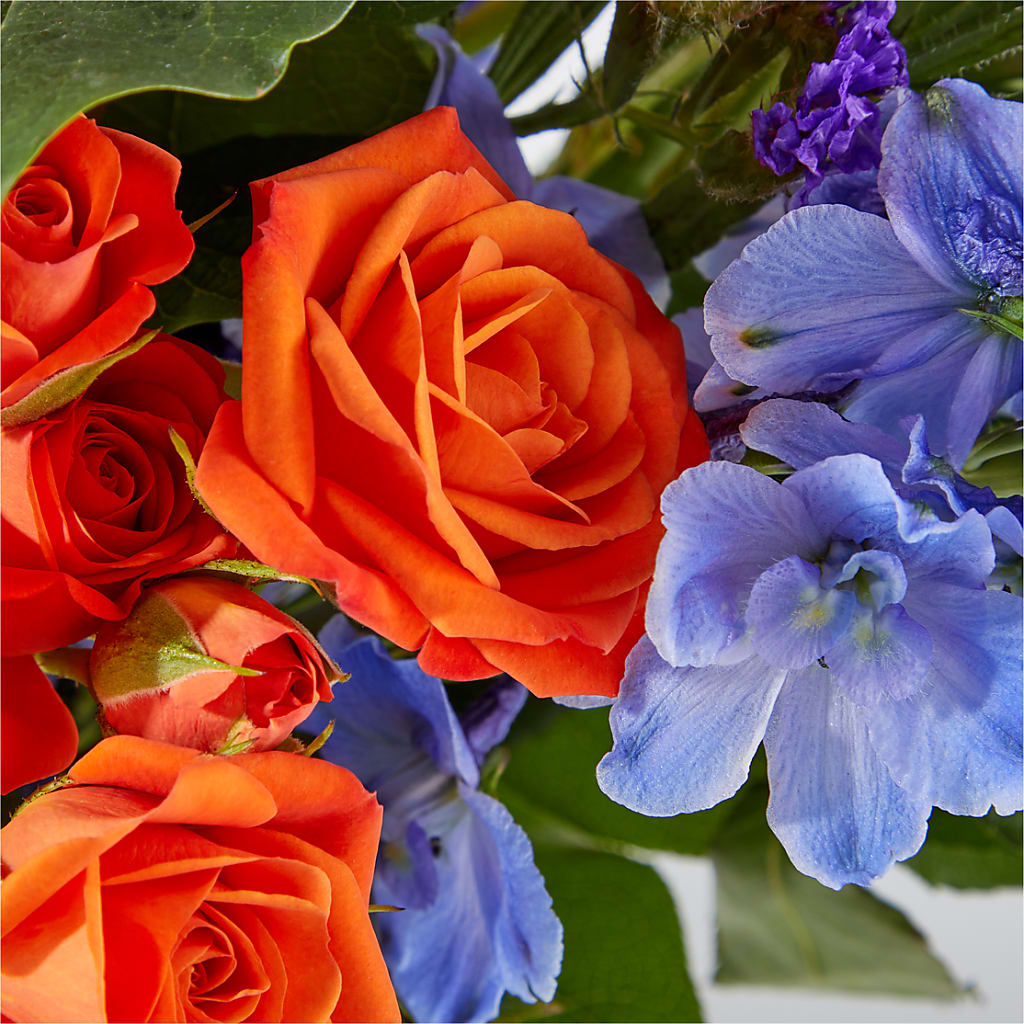 Radiant Citrus Bouquet – PAULINE'S BLOOMERS, Brunswick ME