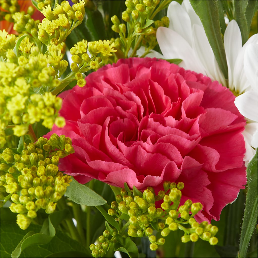 Oopsie Daisy Bouquet – PAULINE'S BLOOMERS, Brunswick ME