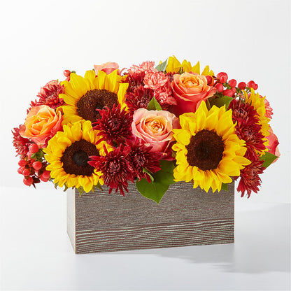 Fresh Cider Bouquet – PAULINE'S BLOOMERS, Brunswick ME