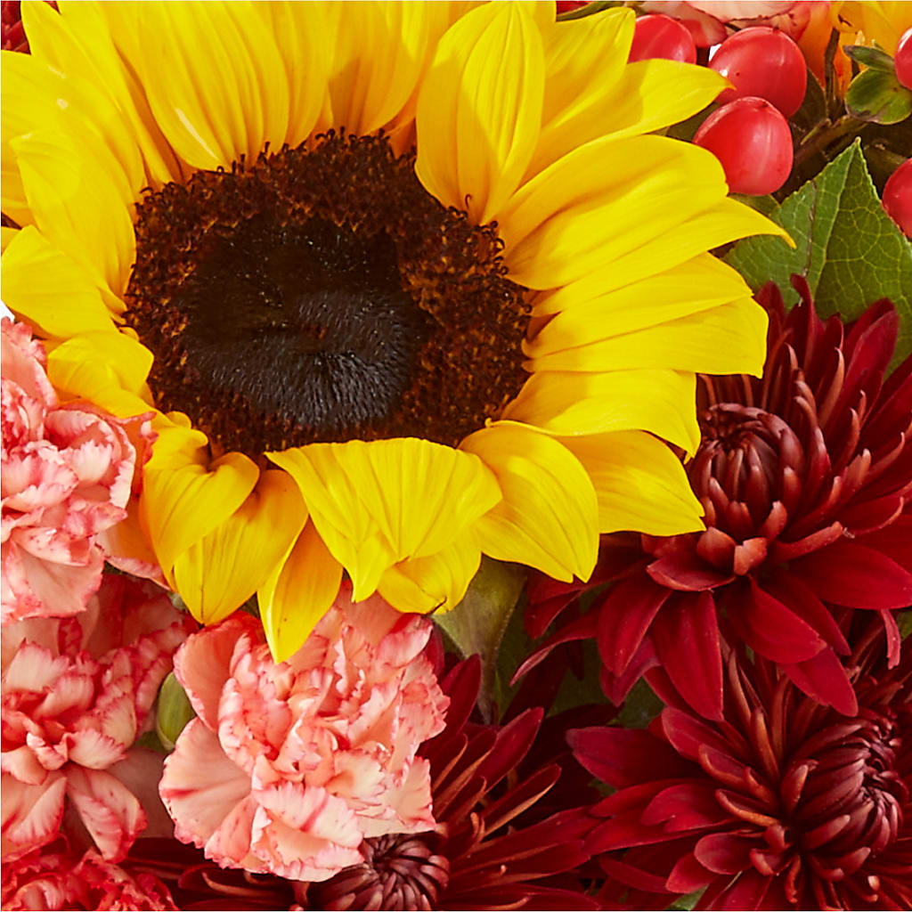 Fresh Cider Bouquet – PAULINE'S BLOOMERS, Brunswick ME