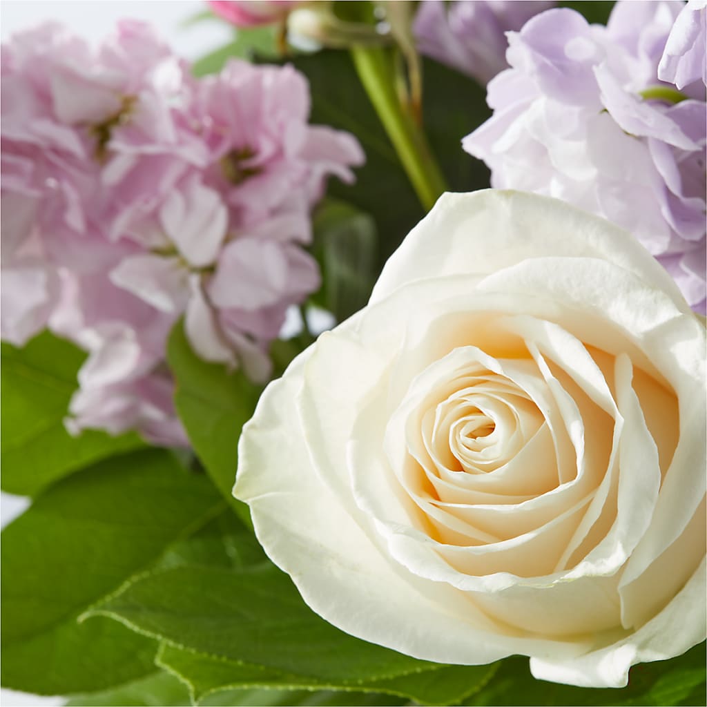 Springtime Spritz Bouquet – PAULINE'S BLOOMERS, Brunswick ME