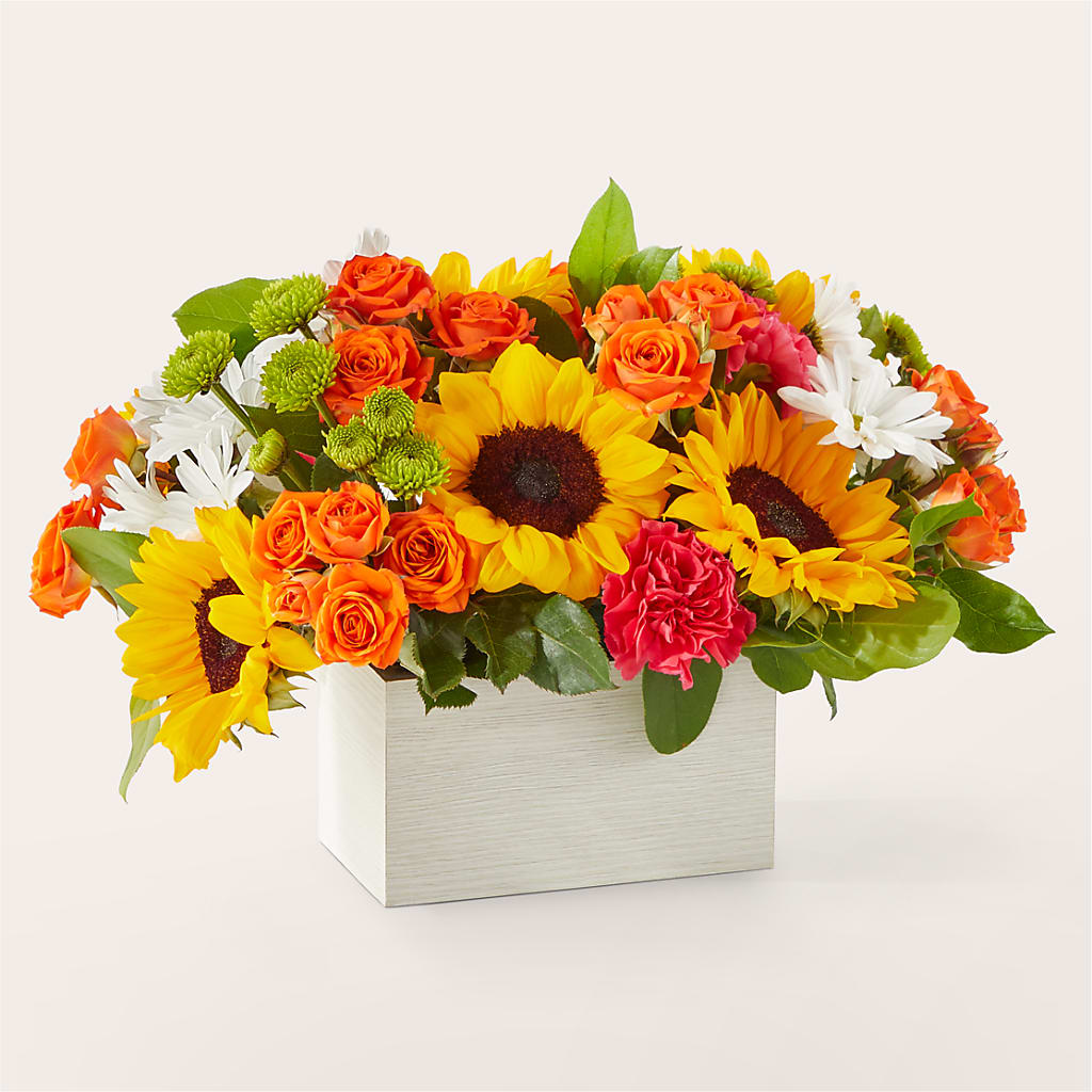Sun-drenched Blooms Box Bouquet – PAULINE'S BLOOMERS, Brunswick ME