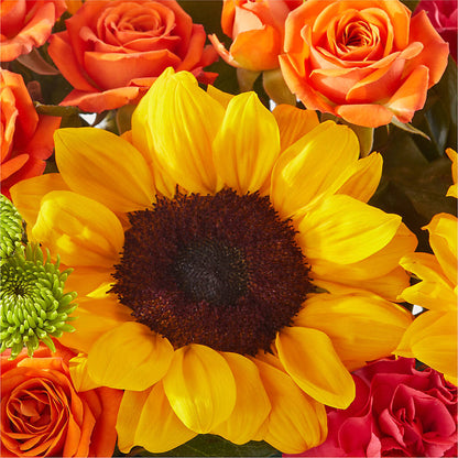 Sun-drenched Blooms Box Bouquet – PAULINE'S BLOOMERS, Brunswick ME