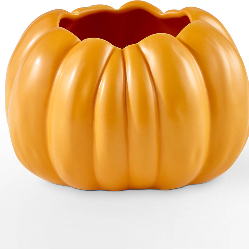 Pick of the Patch Pumpkin Bouquet – PAULINE'S BLOOMERS, Brunswick ME