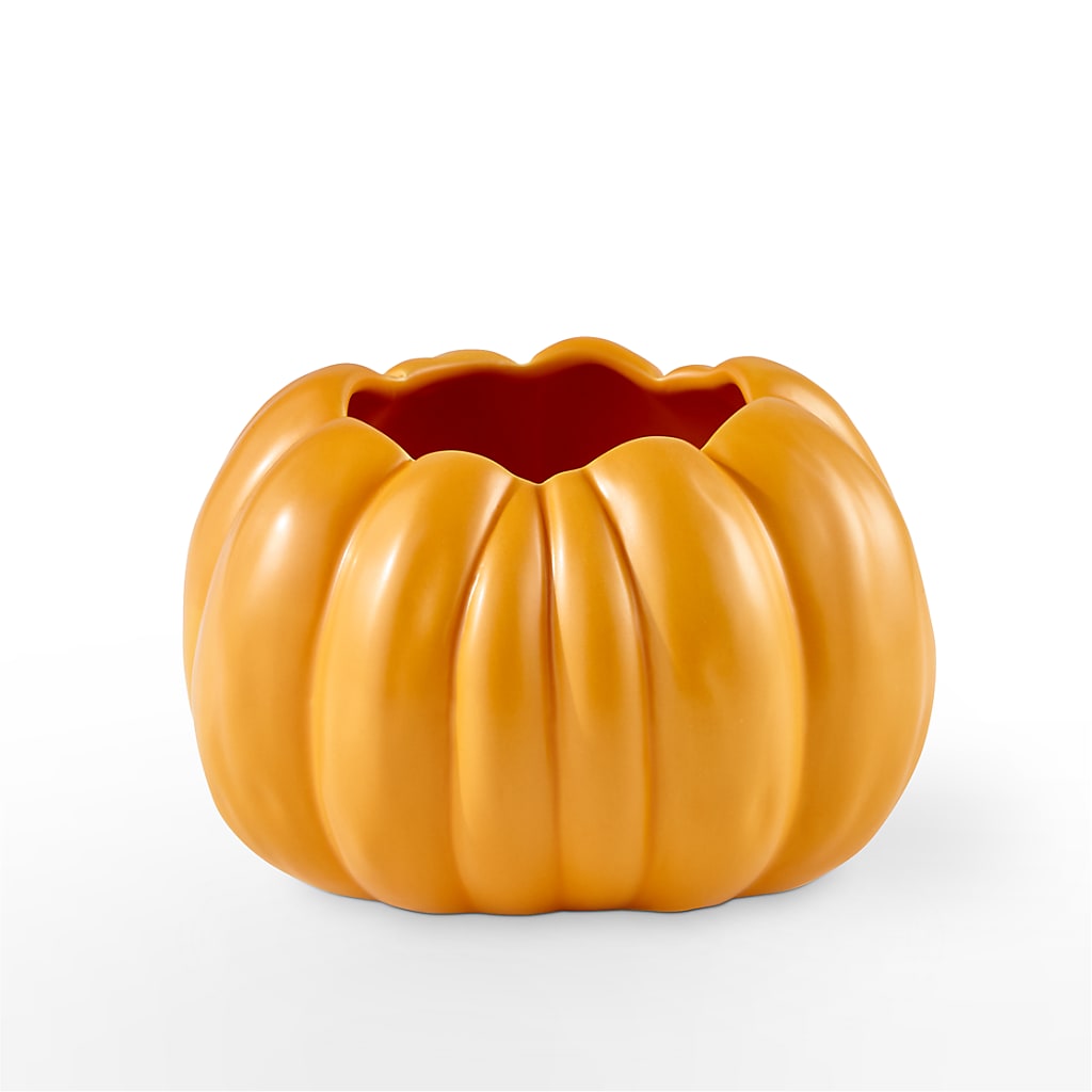 Pick of the Patch Pumpkin Bouquet – PAULINE'S BLOOMERS, Brunswick ME
