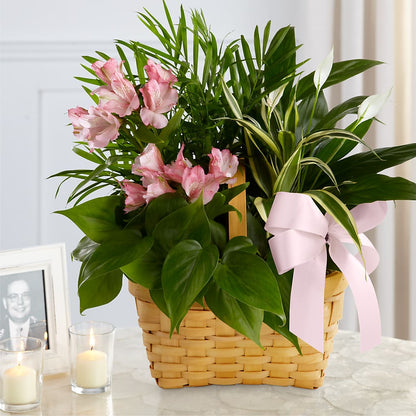 Living Spirit Dishgarden – PAULINE'S BLOOMERS, Brunswick ME