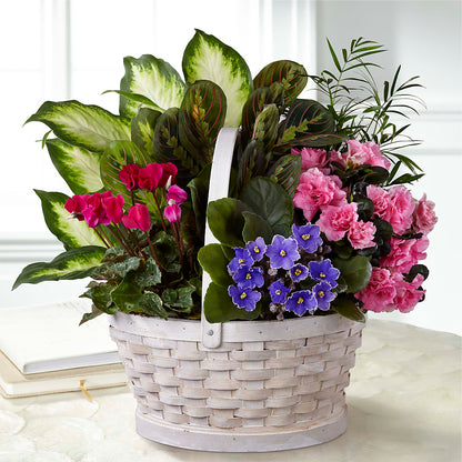 Peaceful Garden Planter – PAULINE'S BLOOMERS, Brunswick ME