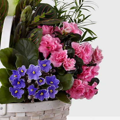 Peaceful Garden Planter – PAULINE'S BLOOMERS, Brunswick ME