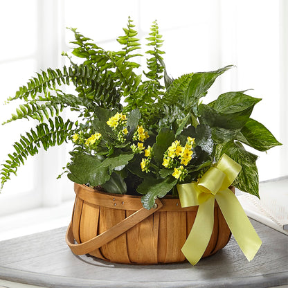 Always Dear Dishgarden – PAULINE'S BLOOMERS, Brunswick ME