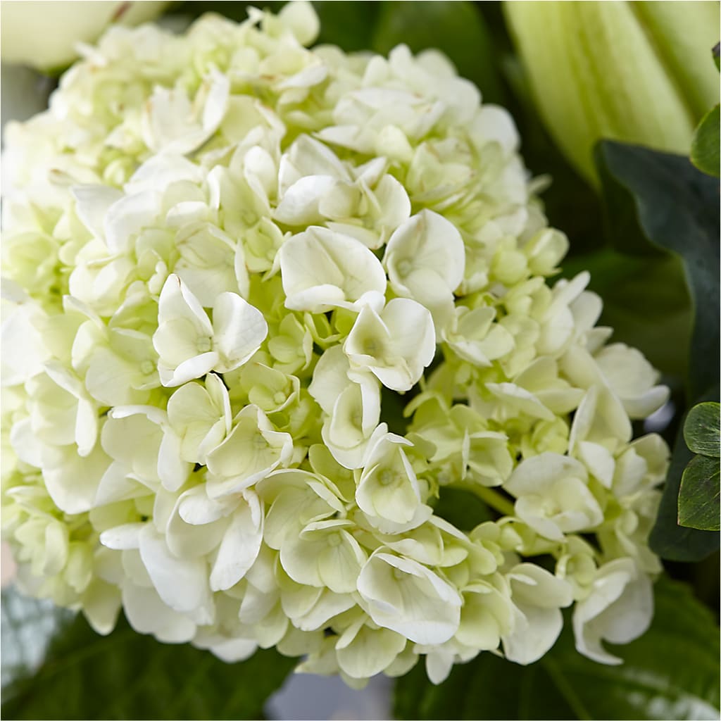 Classic Ivory – A Florist Original – PAULINE'S BLOOMERS, Brunswick ME