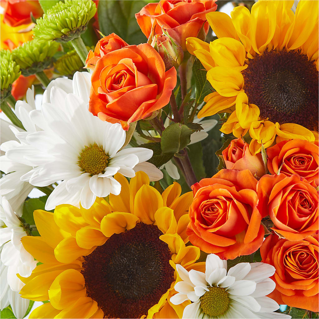 Sun-drenched Blooms Bouquet – PAULINE'S BLOOMERS, Brunswick ME