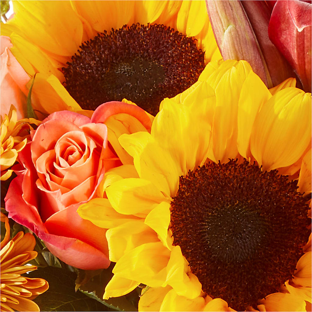 Acorn Lane Bouquet – PAULINE'S BLOOMERS, Brunswick ME